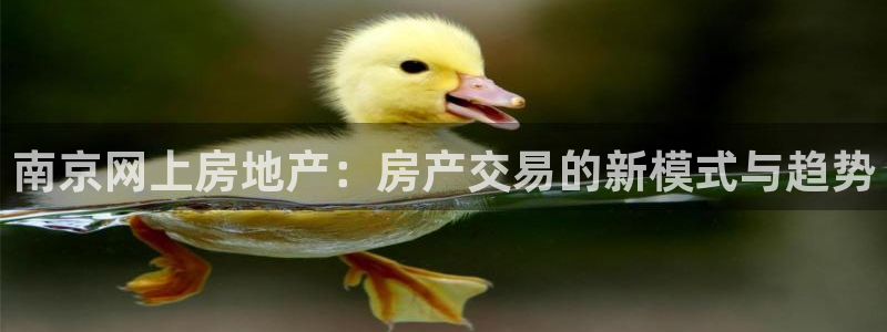 风暴注册娱乐：南京网上房地产：房产交易的新模式与趋势