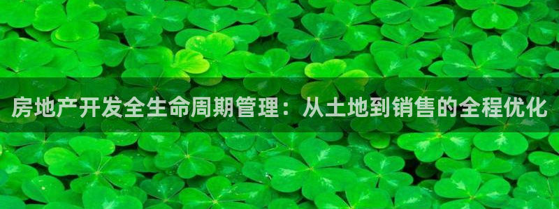风暴娱乐 北京：房地产开发全生命周期管理：从土地到销售的全程