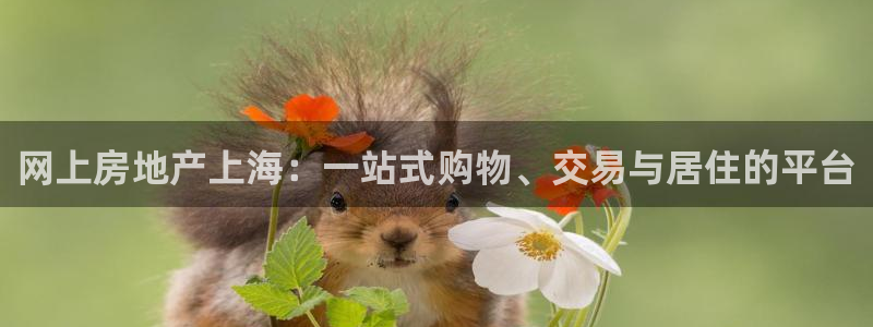 风暴娱乐提现：网上房地产上海：一站式购物、交易与居住的平台