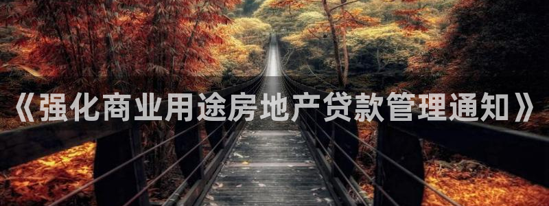 娱乐风暴港：《强化商业用途房地产贷款管理通知》