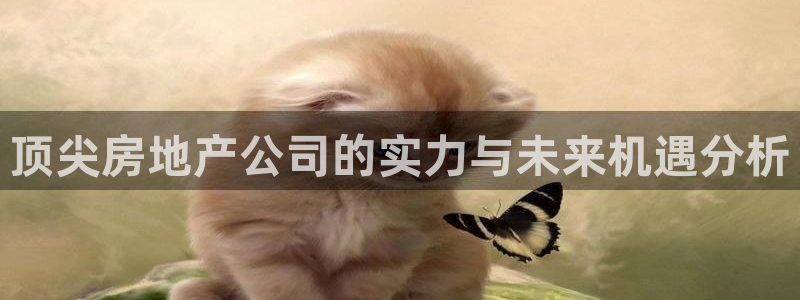 风暴娱乐 北京：顶尖房地产公司的实力与未来机遇分析