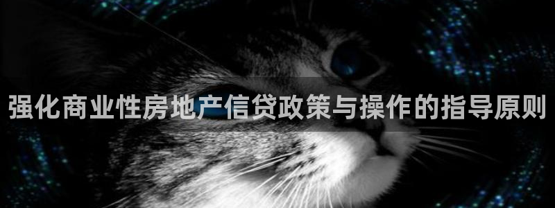 蓝色风暴娱乐：强化商业性房地产信贷政策与操作的指导原则