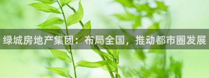 风暴娱乐5O6917：绿城房地产集团：布局全国，推动都市圈发