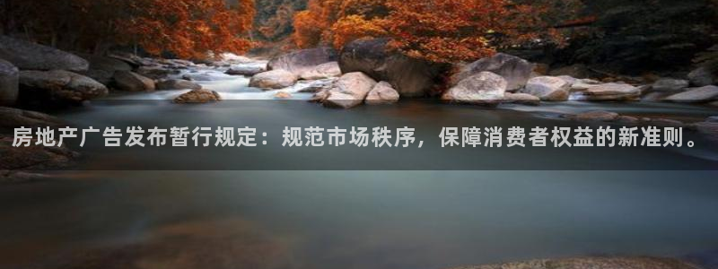 风暴娱乐1980：房地产广告发布暂行规定：规范市场秩序，保障