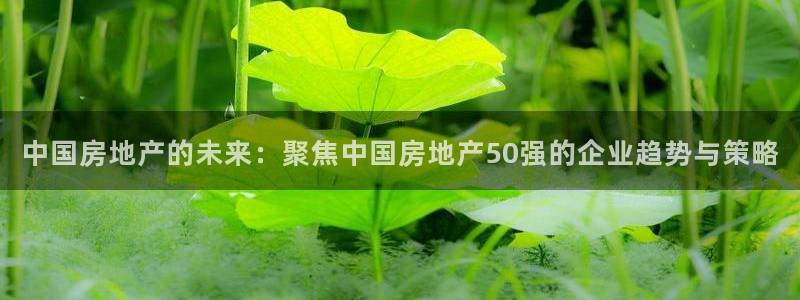 风暴新娱乐：中国房地产的未来：聚焦中国房地产50强的企业趋势