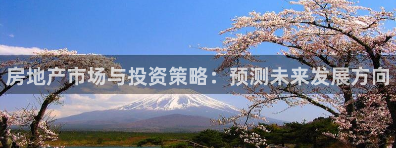 风暴娱乐求333OOf：房地产市场与投资策略：预测未来发展方