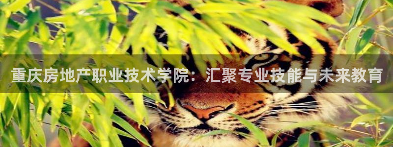 风暴娱乐实况：重庆房地产职业技术学院：汇聚专业技能与未来教育
