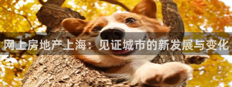 风暴娱乐银川：网上房地产上海：见证城市的新发展与变化