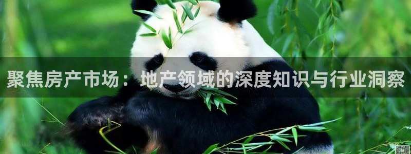 风暴娱乐客服：聚焦房产市场：地产领域的深度知识与行业洞察