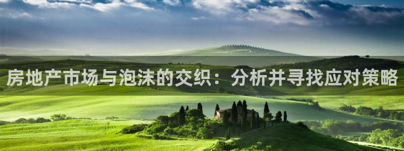 风暴娱乐代理登录：房地产市场与泡沫的交织：分析并寻找应对策略