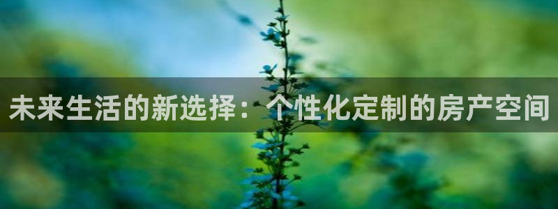 娱乐风暴开头：未来生活的新选择：个性化定制的房产空间