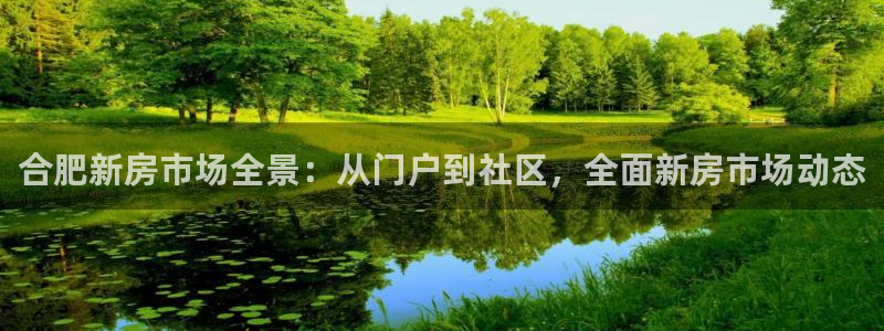 风暴娱乐5O6917：合肥新房市场全景：从门户到社区，全面新