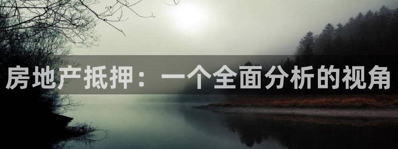 风暴娱乐：房地产抵押：一个全面分析的视角