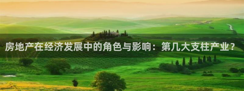 风暴娱乐地5指尖：房地产在经济发展中的角色与影响：第几大支柱