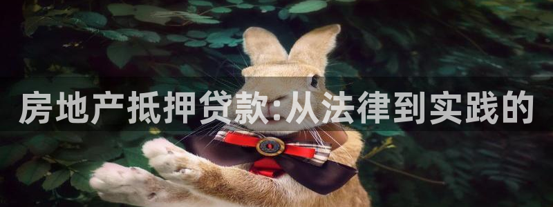 风暴娱乐5O6917