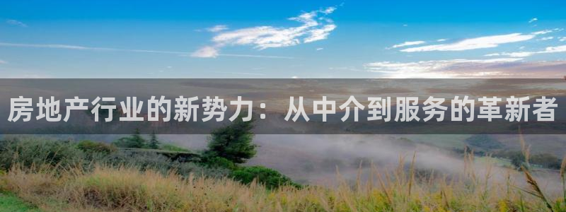 风暴娱乐40996：房地产行业的新势力：从中介到服务的革新者