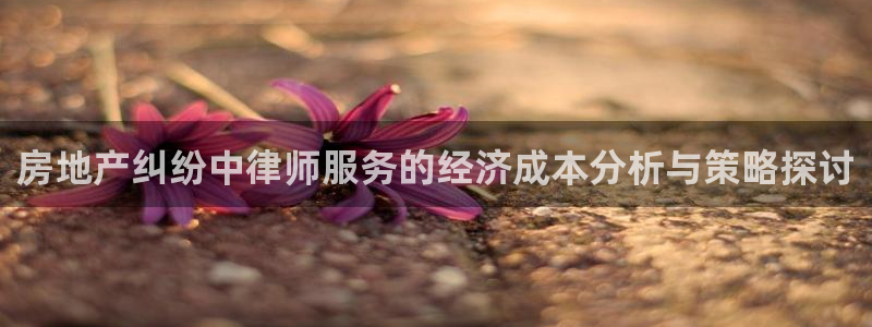 风暴娱乐待遇：房地产纠纷中律师服务的经济成本分析与策略探讨