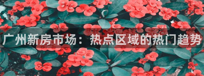 风暴娱乐左5指尖：广州新房市场：热点区域的热门趋势