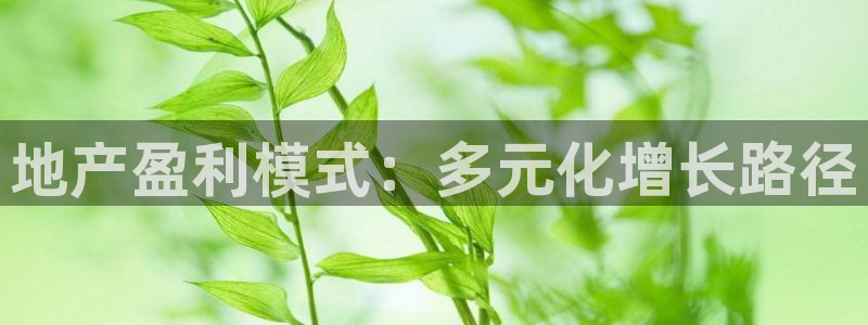 风暴娱乐下5指尖：地产盈利模式：多元化增长路径