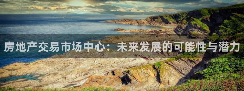娱乐星空风暴：房地产交易市场中心：未来发展的可能性与潜力