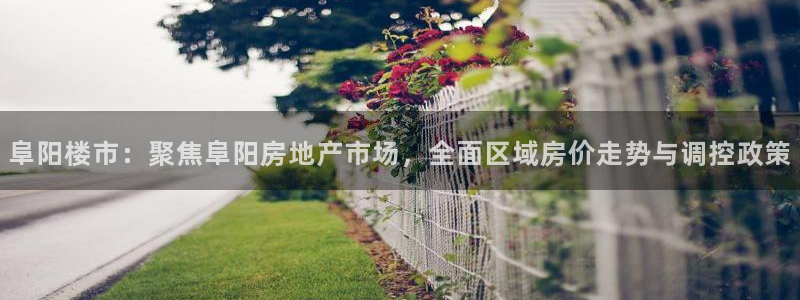 风暴娱乐有5指尖：阜阳楼市：聚焦阜阳房地产市场，全面区域房价