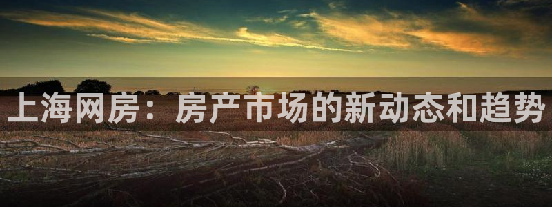 风暴娱乐登录网址：上海网房：房产市场的新动态和趋势