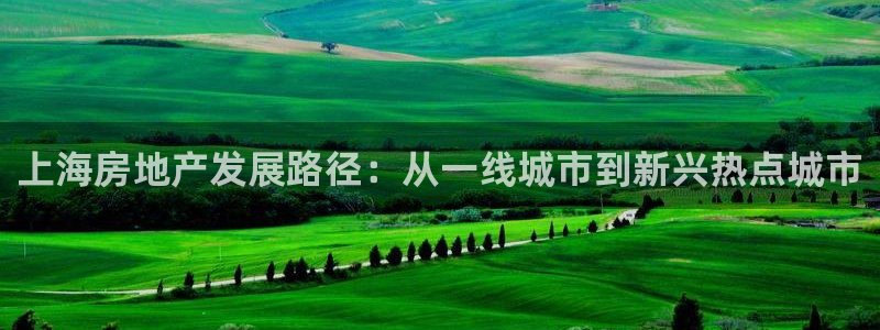 风暴娱乐代理登录：上海房地产发展路径：从一线城市到新兴热点城