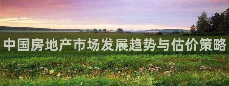 4120051风暴娱乐：中国房地产市场发展趋势与估价策略
