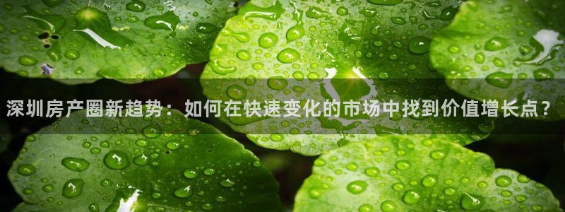风暴娱乐拉菲8：深圳房产圈新趋势：如何在快速变化的市场中找到