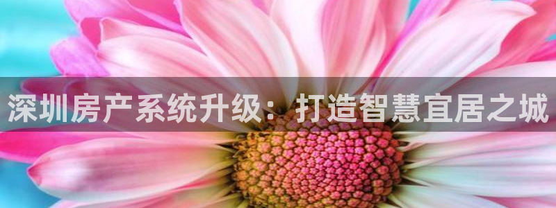 风暴娱乐实况