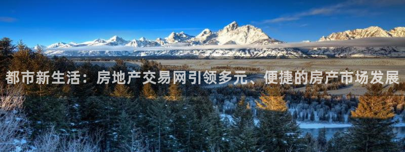 风暴娱乐平台地址：都市新生活：房地产交易网引领多元、便捷的房