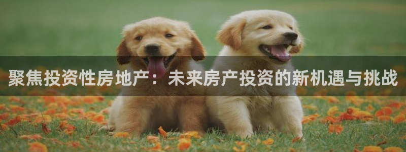 完美风暴 娱乐：聚焦投资性房地产：未来房产投资的新机遇与挑战
