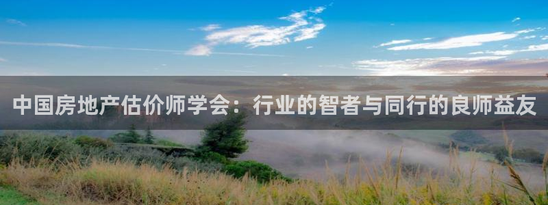 娱乐风暴2：中国房地产估价师学会：行业的智者与同行的良师益友