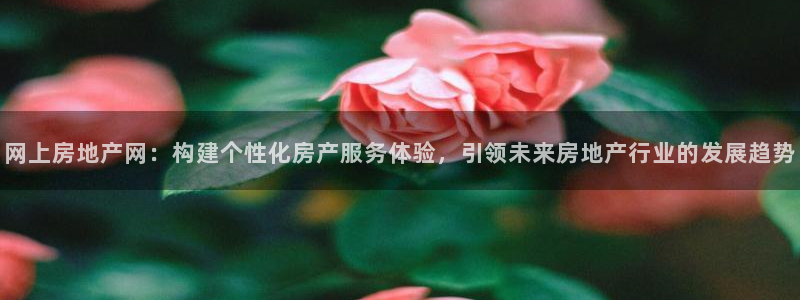 风暴娱乐乃六七五一38：网上房地产网：构建个性化房产服务体验