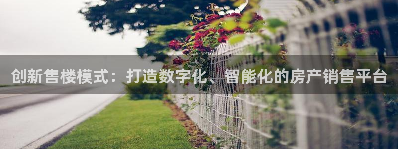 娱乐风暴开头：创新售楼模式：打造数字化、智能化的房产销售平台