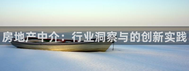 风暴娱乐棋牌：房地产中介：行业洞察与的创新实践