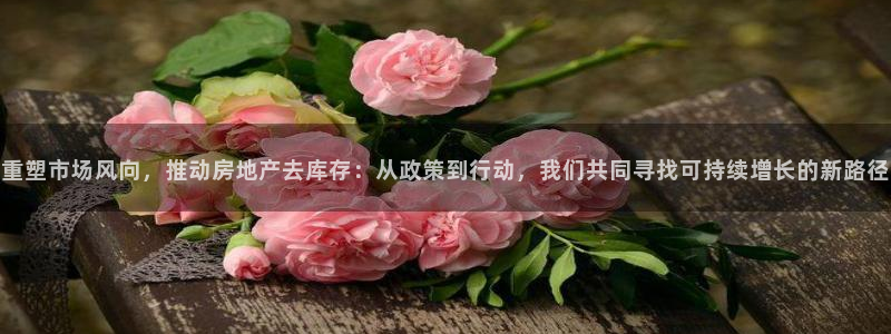 娱乐风暴合集：重塑市场风向，推动房地产去库存：从政策到行动，