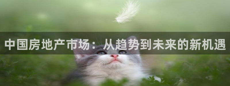 风暴平娱乐