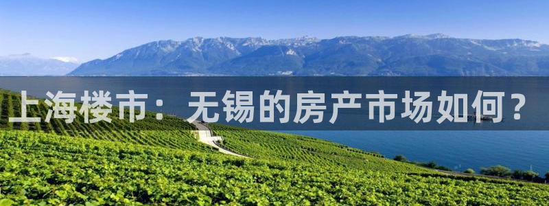 星风暴娱乐：上海楼市：无锡的房产市场如何？