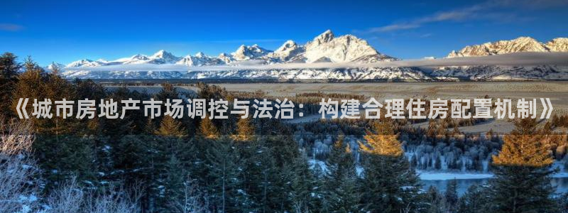 菲律宾风暴娱乐集团：《城市房地产市场调控与法治：构建合理住房