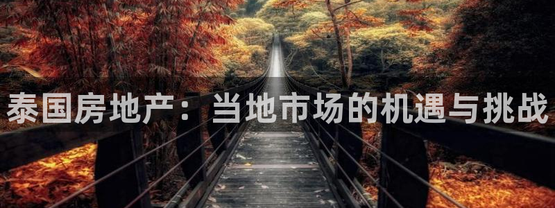 风暴娱乐月5指尖：泰国房地产：当地市场的机遇与挑战