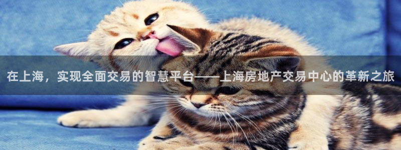 风暴数字娱乐：在上海，实现全面交易的智慧平台——上海房地产交