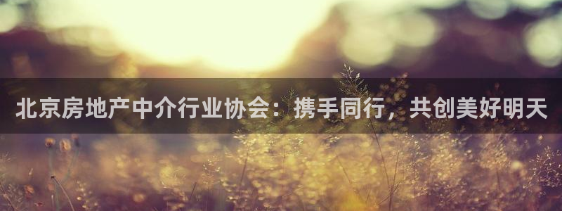 风暴娱乐 平台首页：北京房地产中介行业协会：携手同行，共创美