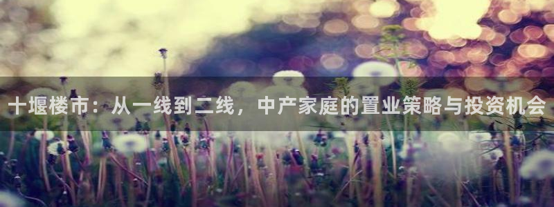 4120051风暴娱乐：十堰楼市：从一线到二线，中产家庭的置
