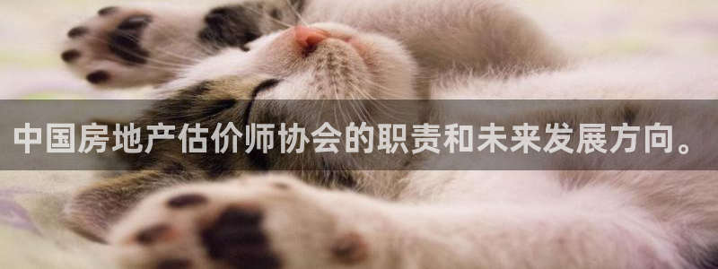 风暴娱乐下5指尖：中国房地产估价师协会的职责和未来发展方向。