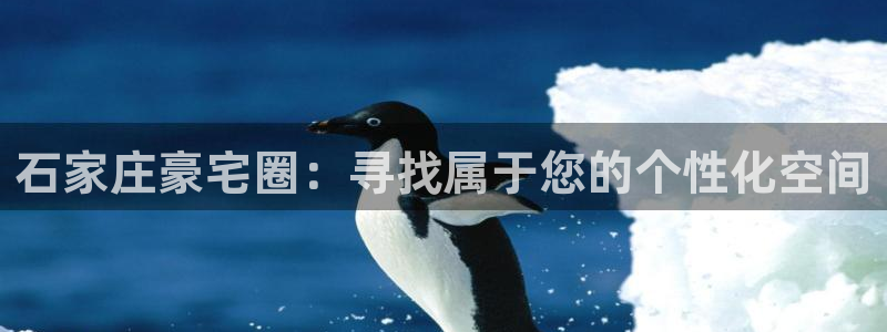 风暴官方娱乐：石家庄豪宅圈：寻找属于您的个性化空间