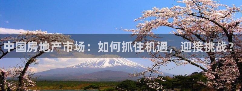 风暴大厅娱乐：中国房地产市场：如何抓住机遇，迎接挑战？