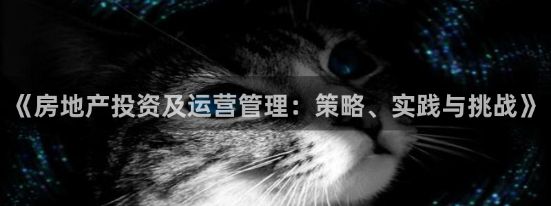 风暴娱乐344272：《房地产投资及运营管理：策略、实践与挑
