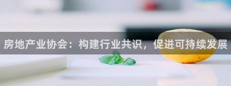 风暴娱乐40996：房地产业协会：构建行业共识，促进可持续发