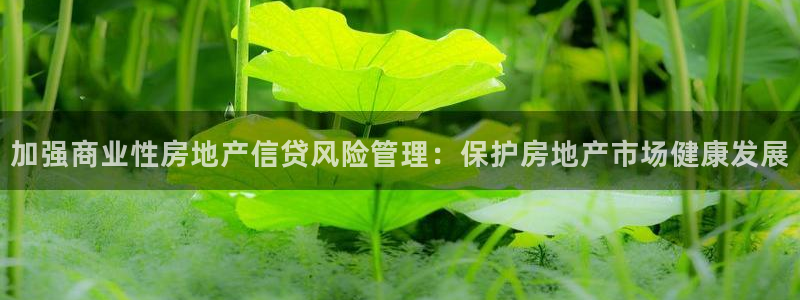 风暴娱乐线路：加强商业性房地产信贷风险管理：保护房地产市场健